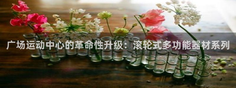 球客岛官网下载是干嘛的公司：广场运动中心的革命性升级：滚轮式