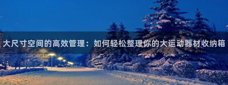 球客岛官方正版app娱乐网站：大尺寸空间的高效管理：