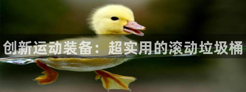 球客岛官网下载开户：创新运动装备：超实用的滚动垃圾桶