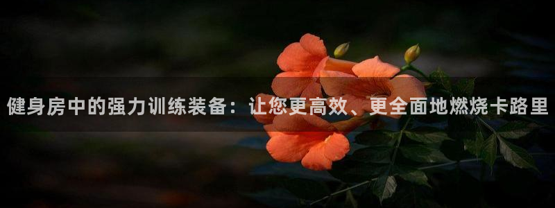 球客岛官网下载招商电话号码：健身房中的强力训练装备：让您更高