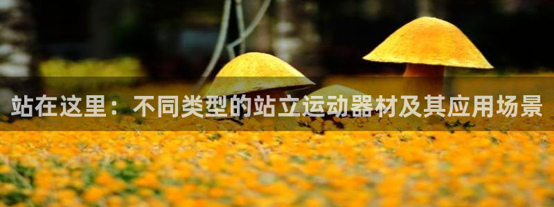 球客岛官方正版app科技：站在这里：不同类型的站立运
