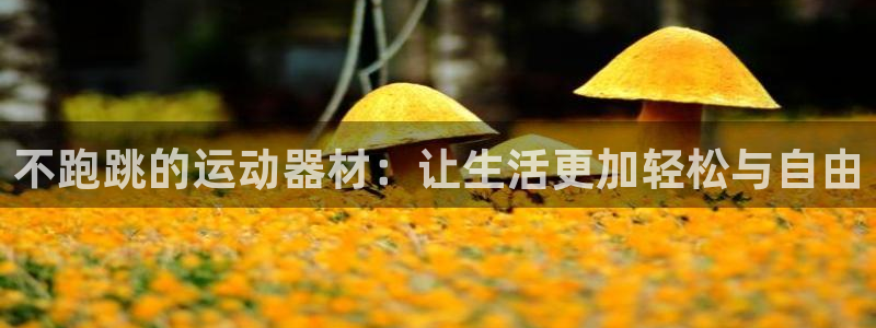球客岛官网下载招商电话地址：不跑跳的运动器材：让生活更加轻松