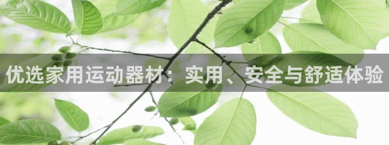 球客岛官网下载平台注册要钱吗安全吗：优选家用运动器材