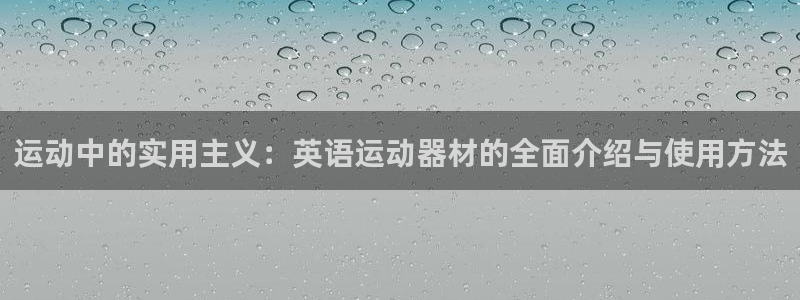 球客岛官方正版app集团E.ON：运动中的实用主义：英语运动
