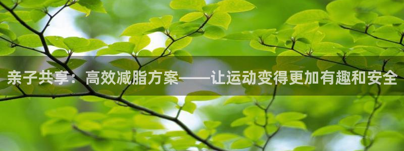 球客岛官方正版app代理：亲子共享：高效减脂方案——让运动变