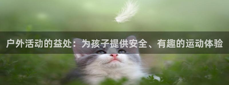 球客岛官网下载平台：户外活动的益处：为孩子提供安全、有趣的运