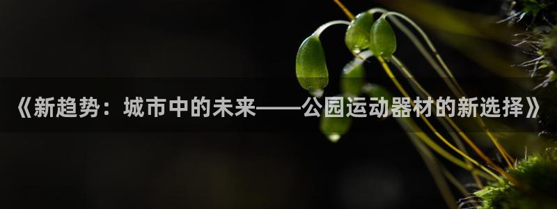 球客岛官方正版app娱乐代理怎么样：《新趋势：城市中
