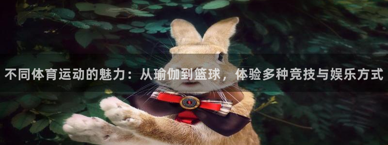 bbin视讯下：不同体育运动的魅力：从瑜伽到篮球，体验多种竞技与娱乐方式
