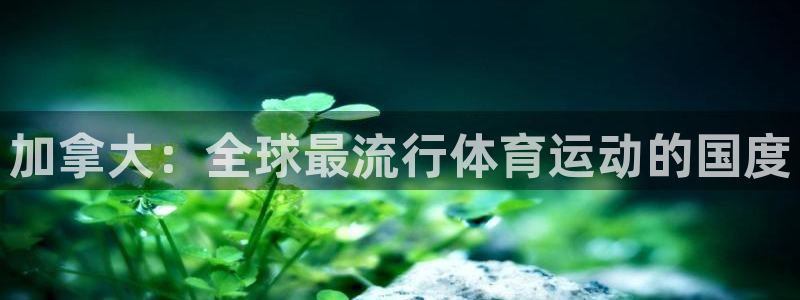 bbin视讯：加拿大：全球最流行体育运动的国度