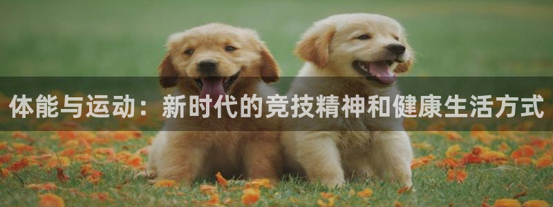 bbin视讯下：体能与运动：新时代的竞技精神和健康生活方式