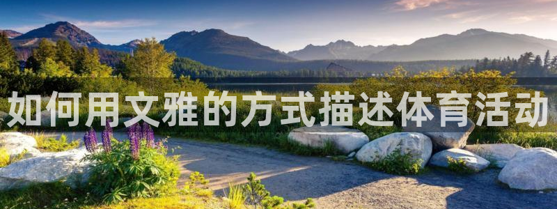 bbin视讯游戏平台：如何用文雅的方式描述体育活动