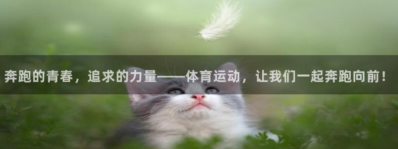 bbin视讯游戏平台
