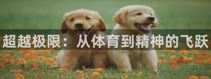 bbin视讯游戏平台