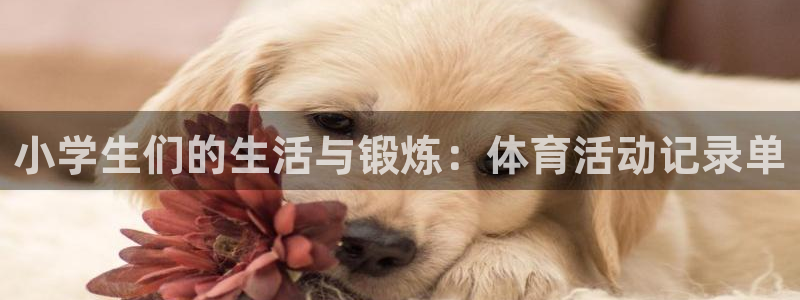 bbin视讯游戏平台：小学生们的生活与锻炼：体育活动记录单