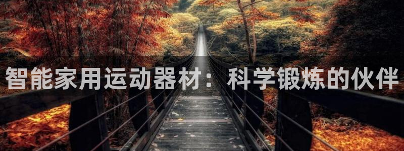 海南球客岛官网下载发展怎么样：智能家用运动器材：科学锻炼的伙