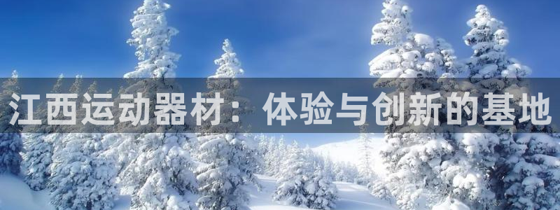 球客岛官方集团官网：江西运动器材：体验与创新的基地