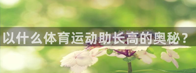 bbin视讯