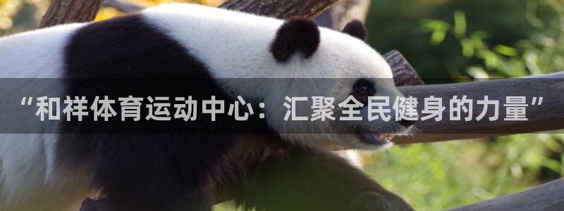 bbin视讯下：“和祥体育运动中心：汇聚全民健身的力量”
